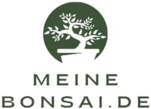 Bonsai Baum Juniper Chinesis - Plastiktopf für Anfänger - Ideal für Hausdecoration (12 cm Schale, 30-35cm Höhe)  
Bonsai