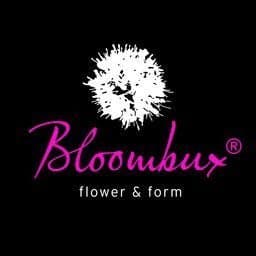 Bloombux® Blumentopf 2 Liter - 25-30 cm breit für Blüte und Form - IDEAL für Gärten und Terrassen - VON GEBÜRGSTOCKERN L