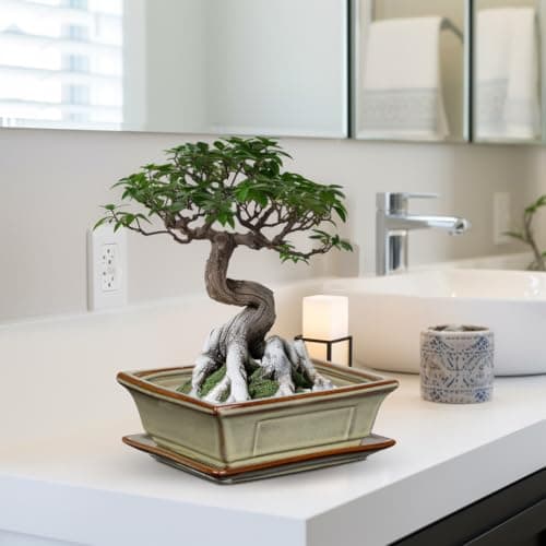 2er-Set Bonsai Keramiktopf mit Untersetzer und Entwässerungslöchern für Japanische Bonsai-Zimmerpflanzen | Retro-Dekorat