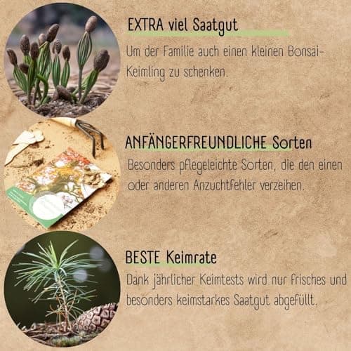 Bonsai Starter Kit - 4 außergewöhnliche Bonsai Samen für dein eigenes Bonsai Baum Projekt - einzigartiges Geschenk für F