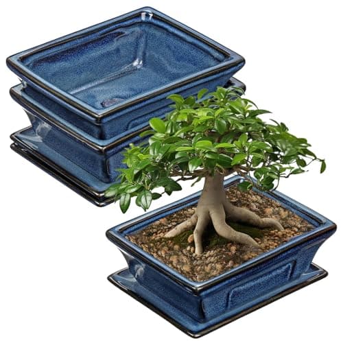 2er-Set Bonsai Keramiktopf mit Untersetzer und Entwässerungslöchern für Japanische Bonsai-Zimmerpflanzen | Retro-Dekorat