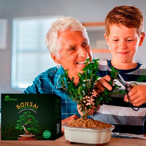 BonPrime Bonsai Starter Kit - Einsteigerfreundliches Set mit 4 Baumsorten - ideales Geschenk für Bonsai-Anfänger, 4 Pfla