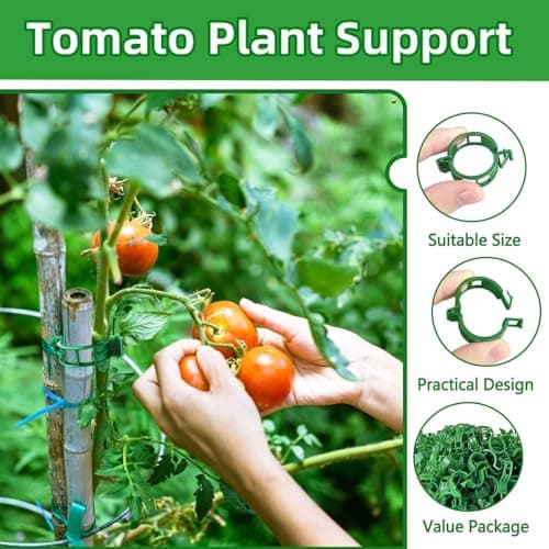 Neue Pflanzenclips für Kletterpflanzen Grün 100 Stück Befestigung Tomatenspieße Kunststoff Pflanzenkletterhilfe