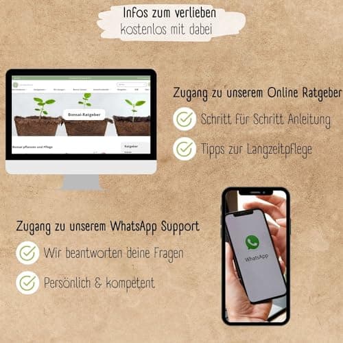 Bonsai Starter Kit - 4 außergewöhnliche Bonsai Samen für dein eigenes Bonsai Baum Projekt - einzigartiges Geschenk für F