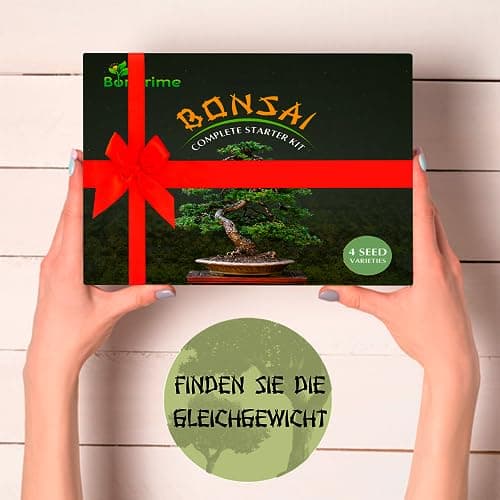 BonPrime Bonsai Starter Kit - Einsteigerfreundliches Set mit 4 Baumsorten - ideales Geschenk für Bonsai-Anfänger, 4 Pfla