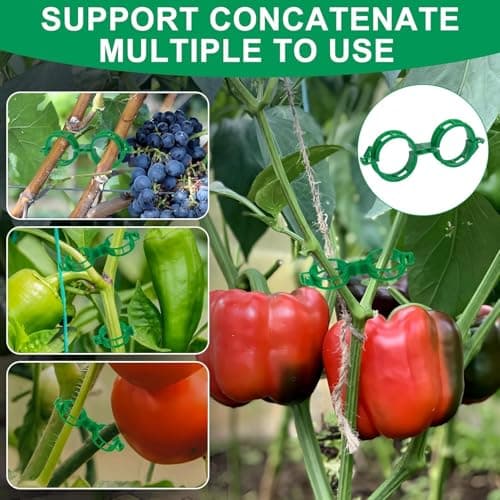 Neue Pflanzenclips für Kletterpflanzen Grün 100 Stück Befestigung Tomatenspieße Kunststoff Pflanzenkletterhilfe