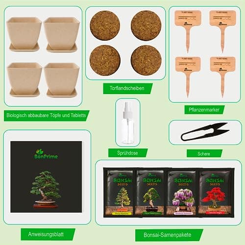 BonPrime Bonsai Starter Kit - Einsteigerfreundliches Set mit 4 Baumsorten - ideales Geschenk für Bonsai-Anfänger, 4 Pfla