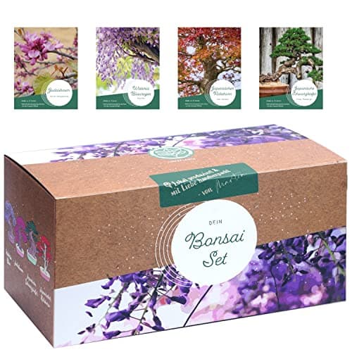 Bonsai Starter Kit - 4 außergewöhnliche Bonsai Samen für dein eigenes Bonsai Baum Projekt - einzigartiges Geschenk für F