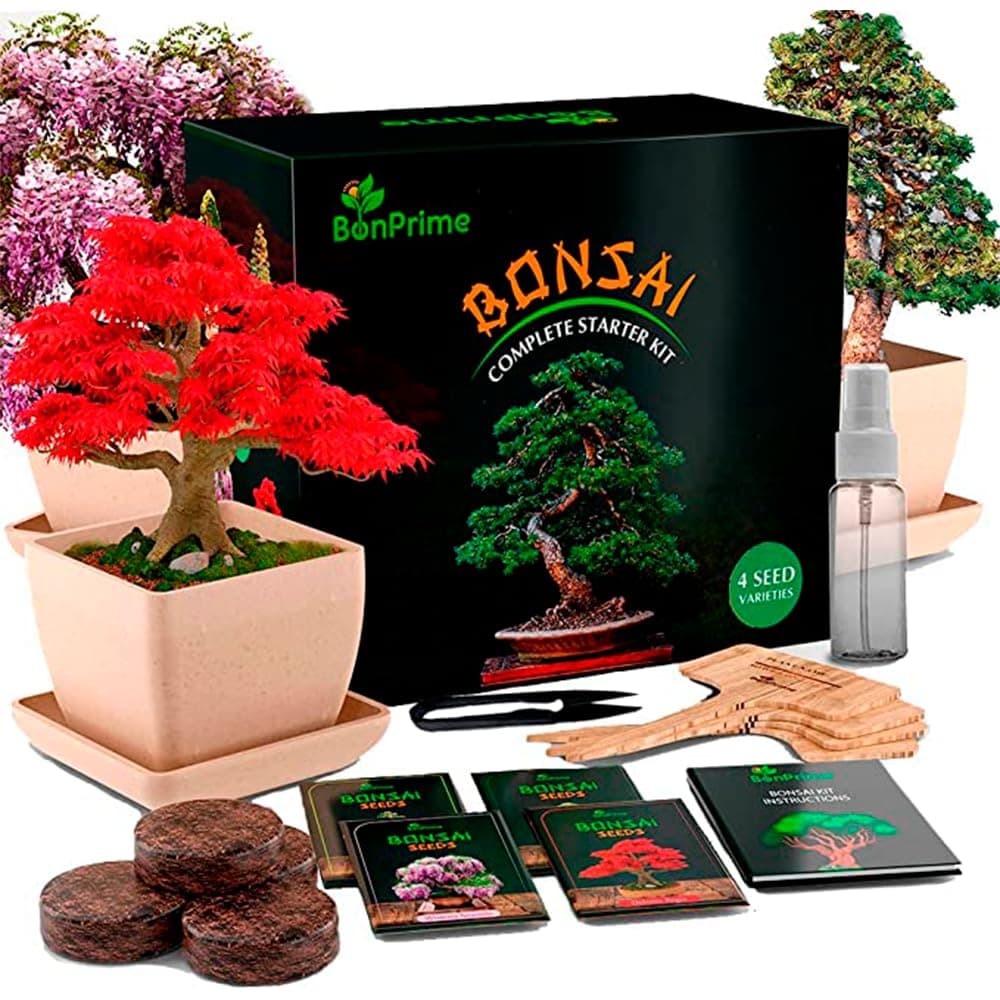 BonPrime Bonsai Starter Kit - Einsteigerfreundliches Set mit 4 Baumsorten - ideales Geschenk für Bonsai-Anfänger, 4 Pfla